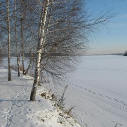 Фото Отель Гостевой дом Слободка 74