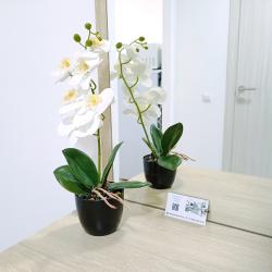 1-комнатные апартаменты стандарт №4