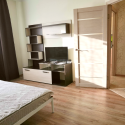 Фото Апартаменты на улице Пухова 31