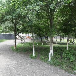 Фото Отель Беной Тревел Озеро