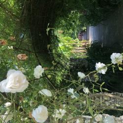 Фото Отель Alaku Hotel (Алаку)