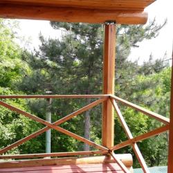 Фото Отель Дома в лесу