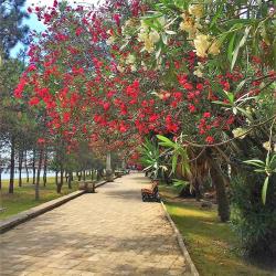 Фото Отель База отдыха Жоэквара