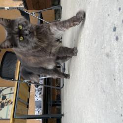 Фото Отель Дзен