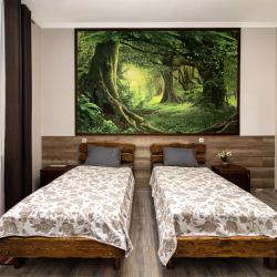 Фото Отель Три медведя