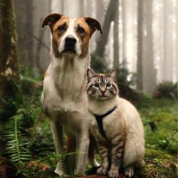 Фото Отель Берлога