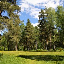 Фото Отель S7 Hotel Bityagovo (C7 Битягово)