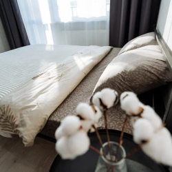 Апартаменты студия