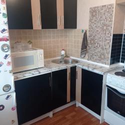 Фото Отель Уютная квартира на улице Краузе 19