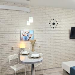 1-комнатные апартаменты студия с диваном-кроватью (15 этаж)