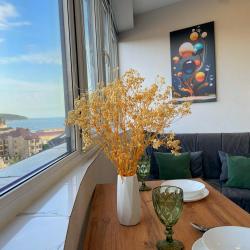 Апартаменты студия гостиничный комплекс Радуга 10И