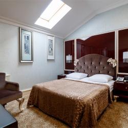 Стандарт Мансардные окна