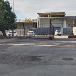 Фото Отель Diyora Hostel (Диёра)