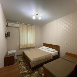 Комната стандарт с 1 односпальной и 1 двуспальной кроватью