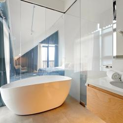 2-местный номер люкс (с бассейном на крыше)