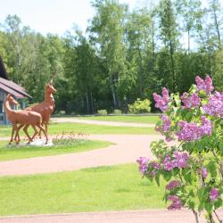 Фото Отель Пихтовое
