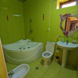 Фото Отель Star Apartment (Стар Апартмент)