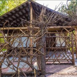 Фото Парк-отель Чайка