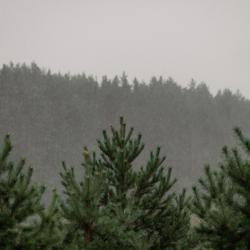 Фото Отель Тутань