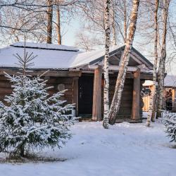 Фото Отель Гостевой дом Окулова Заимка