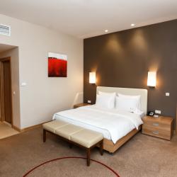 Фото Отель Panorama by Mercure Krasnaya Polyana 4* (Панорама от Меркюр )