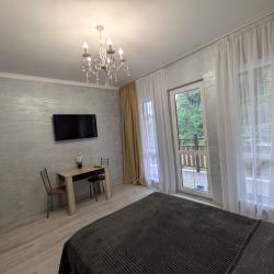 2-местный 1-комнатный номер стандарт комфорт