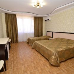 Фото Отель Гостевой дом Лев