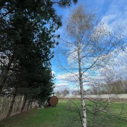 Фото Отель Гостевой дом Брейтово