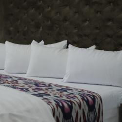 Фото Отель Akhsikent (Акшикент)