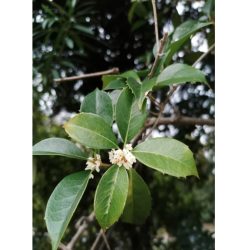 Фото Апартаменты на улице ул. Таврическая 7 корпус 2