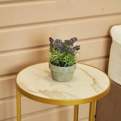 Фото Отель Северный ветер