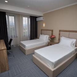 Номер стандарт с 2 односпальными кроватями