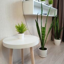 1-комнатные апартаменты студия