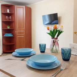 Фото Апартаменты на улице Татищева 17А