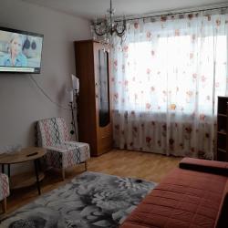 Фото Апартаменты на улице Ульяновская