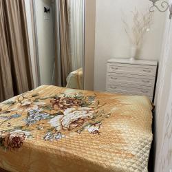 Фото Апартаменты на улице Бакинская 9/1