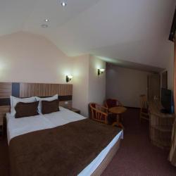 Фото Отель Alpina Resort by Stellar Hotels, Tsaghkadzor (Альпина Резорт от Стеллар Хотелс, )