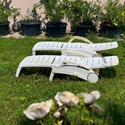 Фото Отель рис