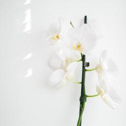 Фото Отель Шумак