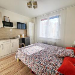 1-комнатные апартаменты студия №2