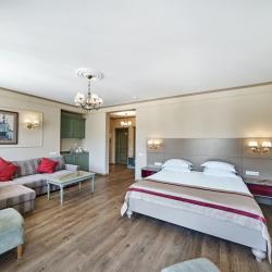 Комната люкс с 1 двуспальной кроватью (с завтраком)