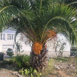 Фото Отель Белая Панама