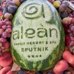 Фото Отель Alean Family Sputnik (Алеан Фэмили Спутник)