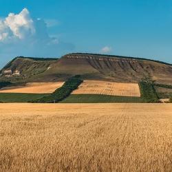 Фото Отель Deer Farm (Дир фарм)
