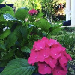 Фото Отель Шато Жюли