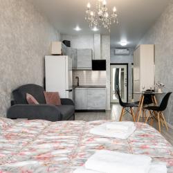1-комнатные апартаменты студия