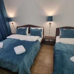 Фото Отель Шишкино-парк аэропорт Домодедово