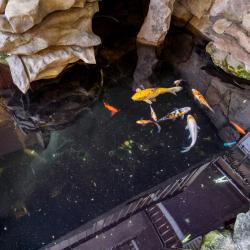 Фото Отель Гостевой дом Avsteria (Австерия)