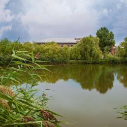 Фото Отель Авиатор