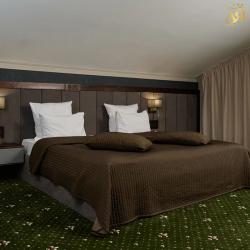 Номер люкс двухуровневый без вида на озеро (Alira Palace)
